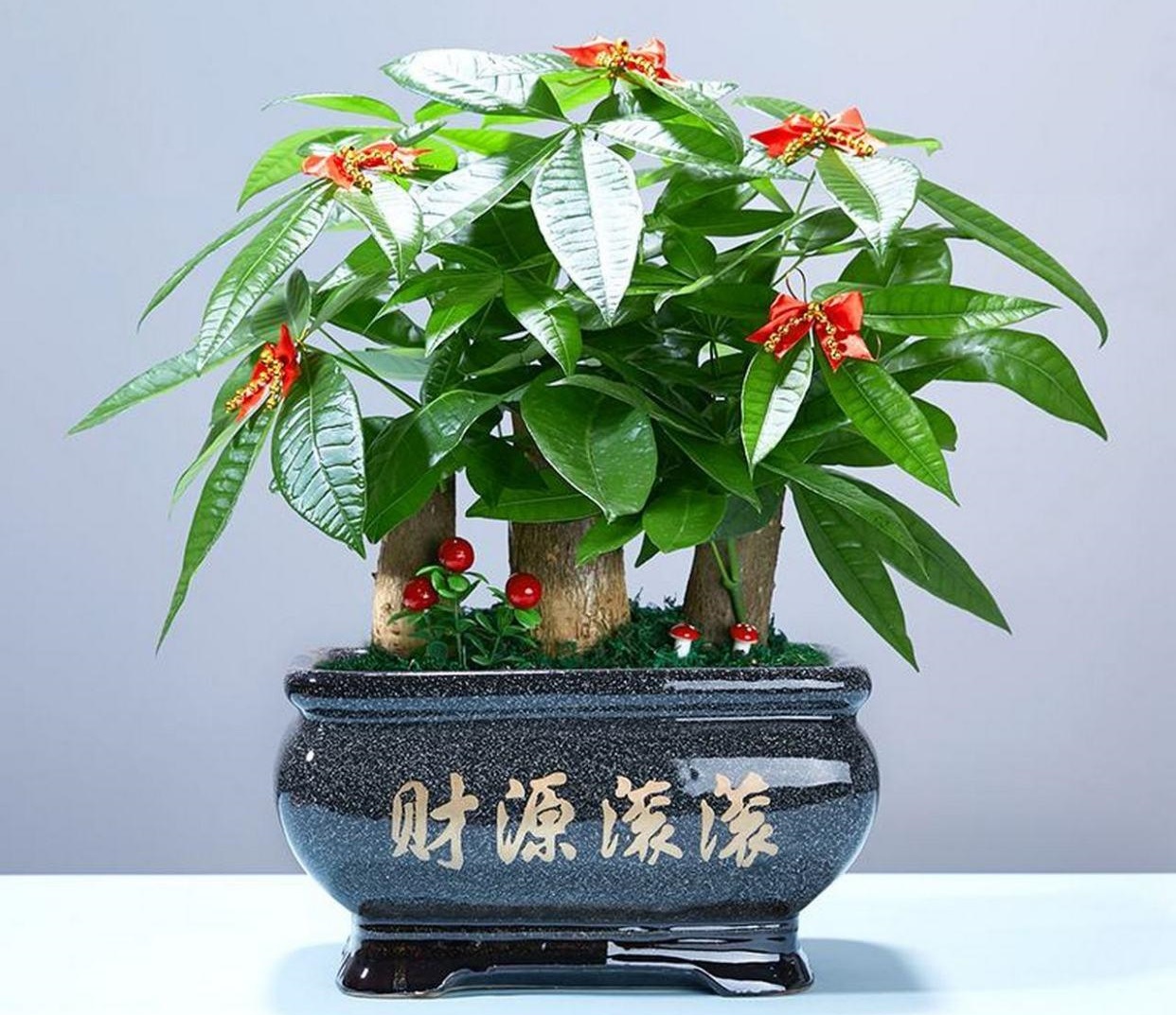 植物与自然元素